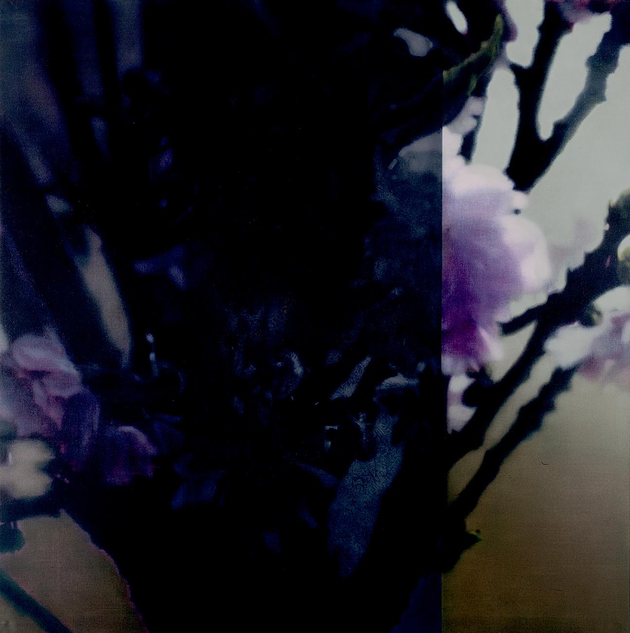 No title, 2001, 175 x 175 cm, oil on canvas